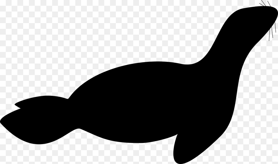 Silhouette Of A Seal, Gray Png