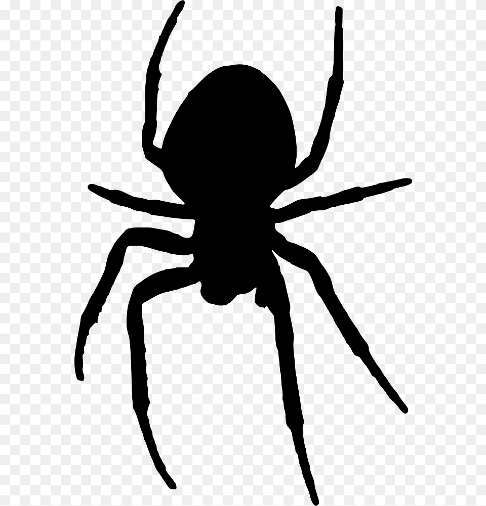 Silhouette Of A Spider, Animal, Invertebrate, Bow, Weapon Png