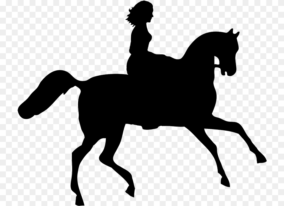 Silhouette Of A Unicorn, Animal, Colt Horse, Horse, Mammal Png Image