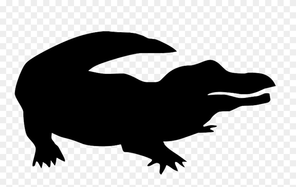 Silhouette Of Crocodile Zoo Animals Unit Animal Free Png Download