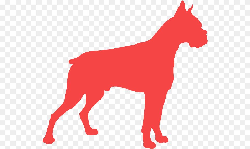 Silhouette Of Guard Dogs, Animal, Canine, Dog, Mammal Free Png