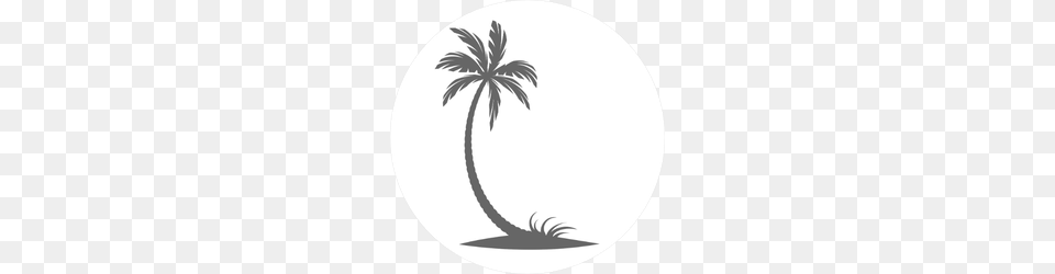 Silhouette Of Palm Trees And Grass Sticker, Palm Tree, Plant, Tree, Astronomy Png