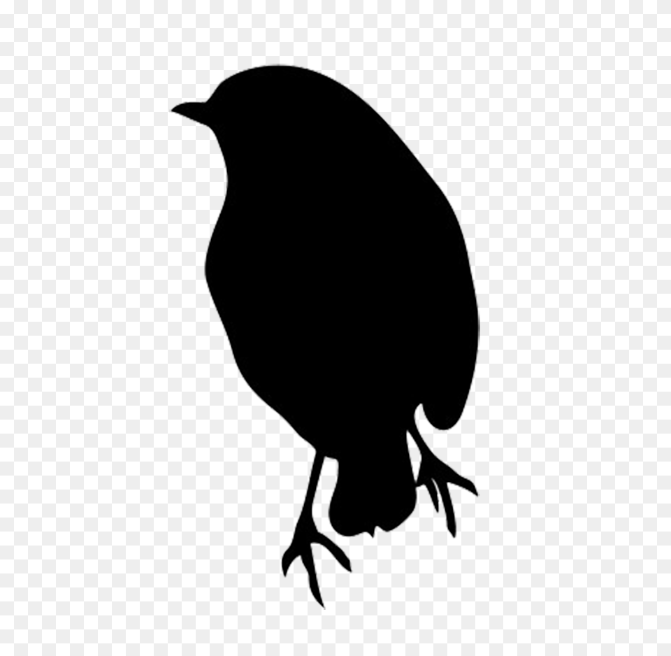 Silhouette Of Robin A Silhoette Silhouette, Animal, Bird, Blackbird Png Image