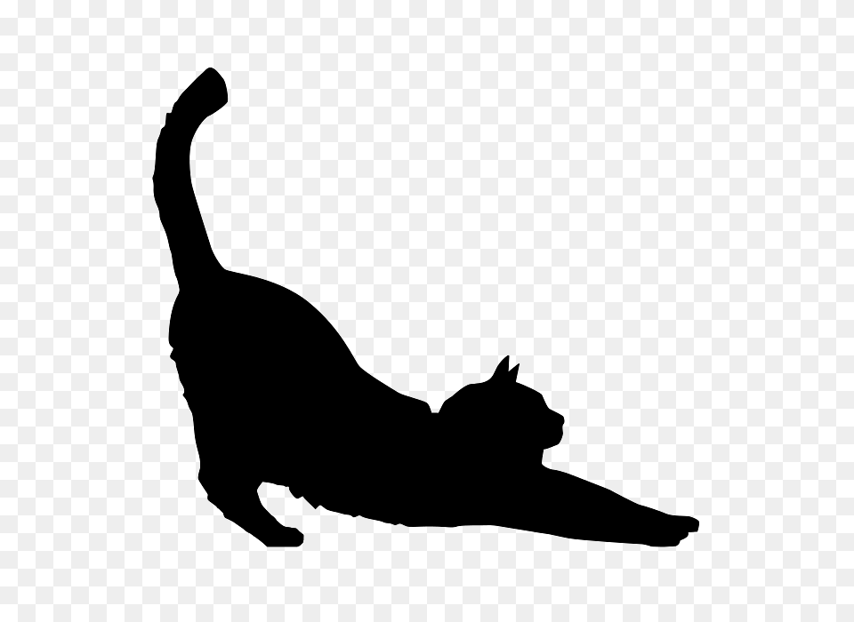 Silhouette Of Stretching Cat, Animal, Mammal, Pet, Kangaroo Png Image