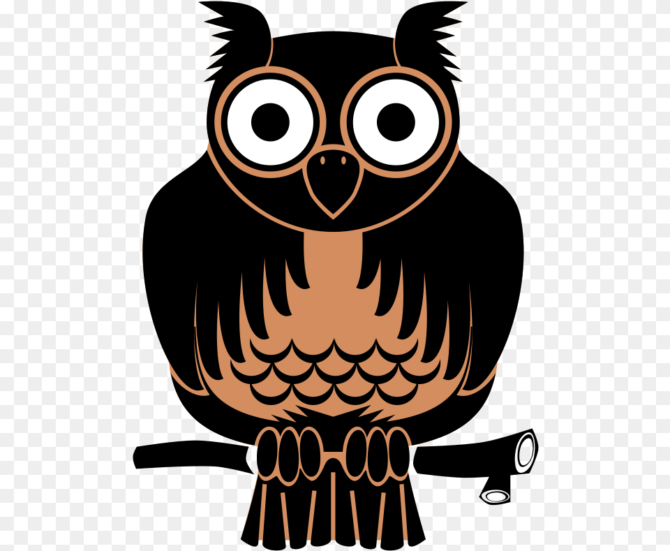 Silhouette Owl, Person Png