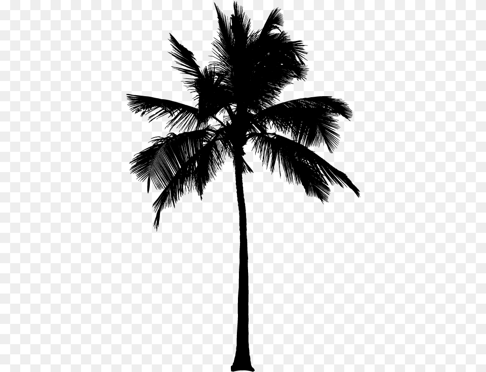 Silhouette Palm Tree, Gray Free Transparent Png