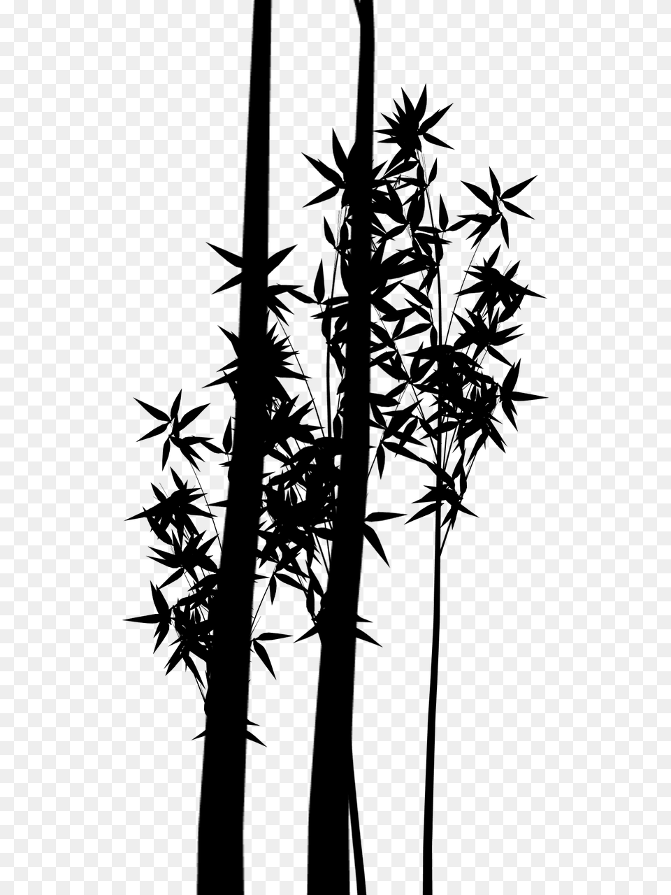 Silhouette Plant Stem Bamboo Branching Plants Silueta De Plantas, Gray Free Transparent Png