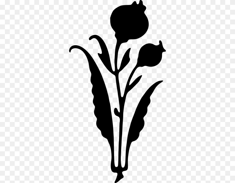 Silhouette Plant Stem Black And White Leaf Flower, Gray Png Image