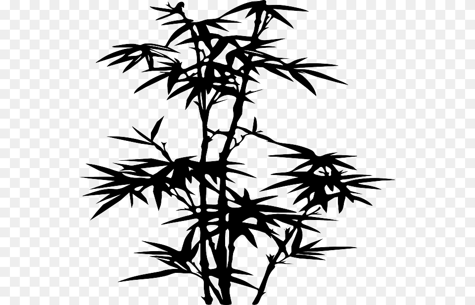 Silhouette Plants Bamboo Leaf Tree Danny Allen Bamboo Silhouette, Plant, Stencil Free Png