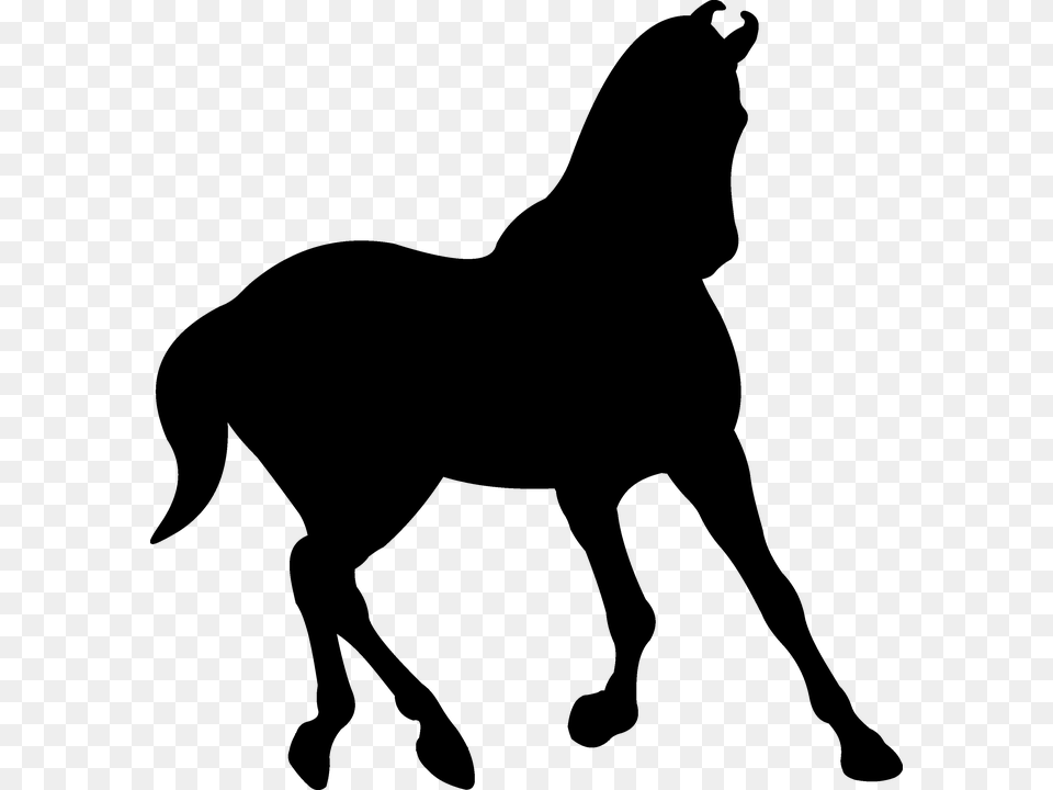 Silhouette Saddle Horse Black Trot Stallion, Gray Free Png Download