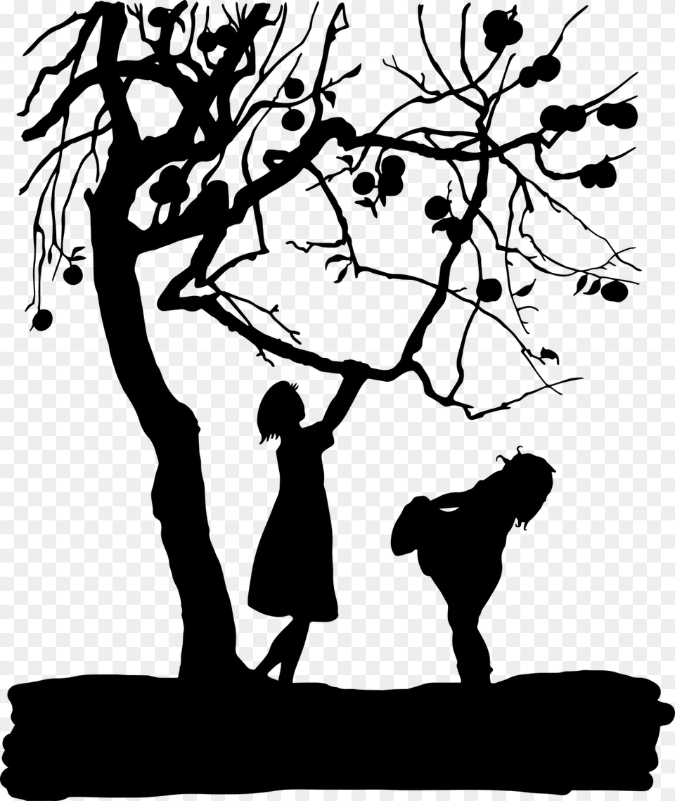 Silhouette Tree Branch Apple, Gray Free Png
