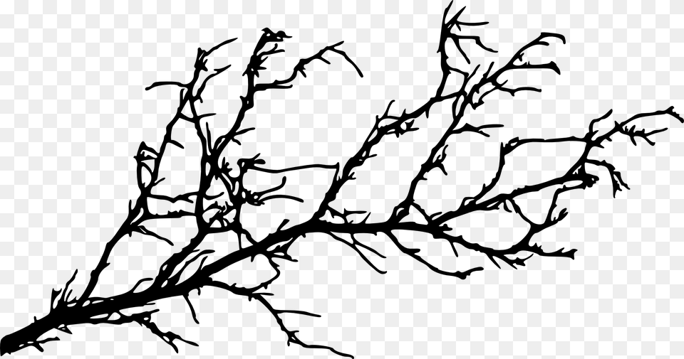 Silhouette Tree Branch At Getdrawings Tree Branch Silhouette, Art, Drawing Png Image