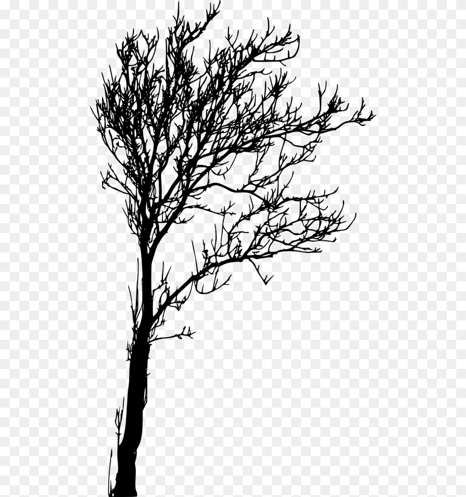 Silhouette Tree Images, Gray Free Png Download
