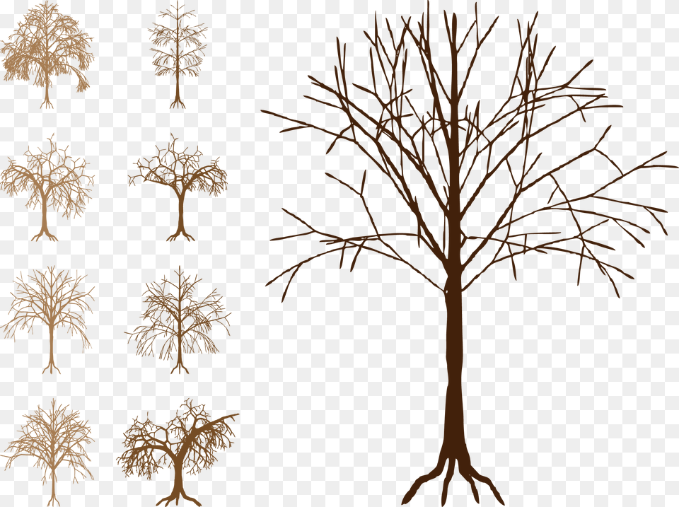 Silhouette Tree Trunk Clip Art Free Dead Tree Vector, Plant, Drawing Png