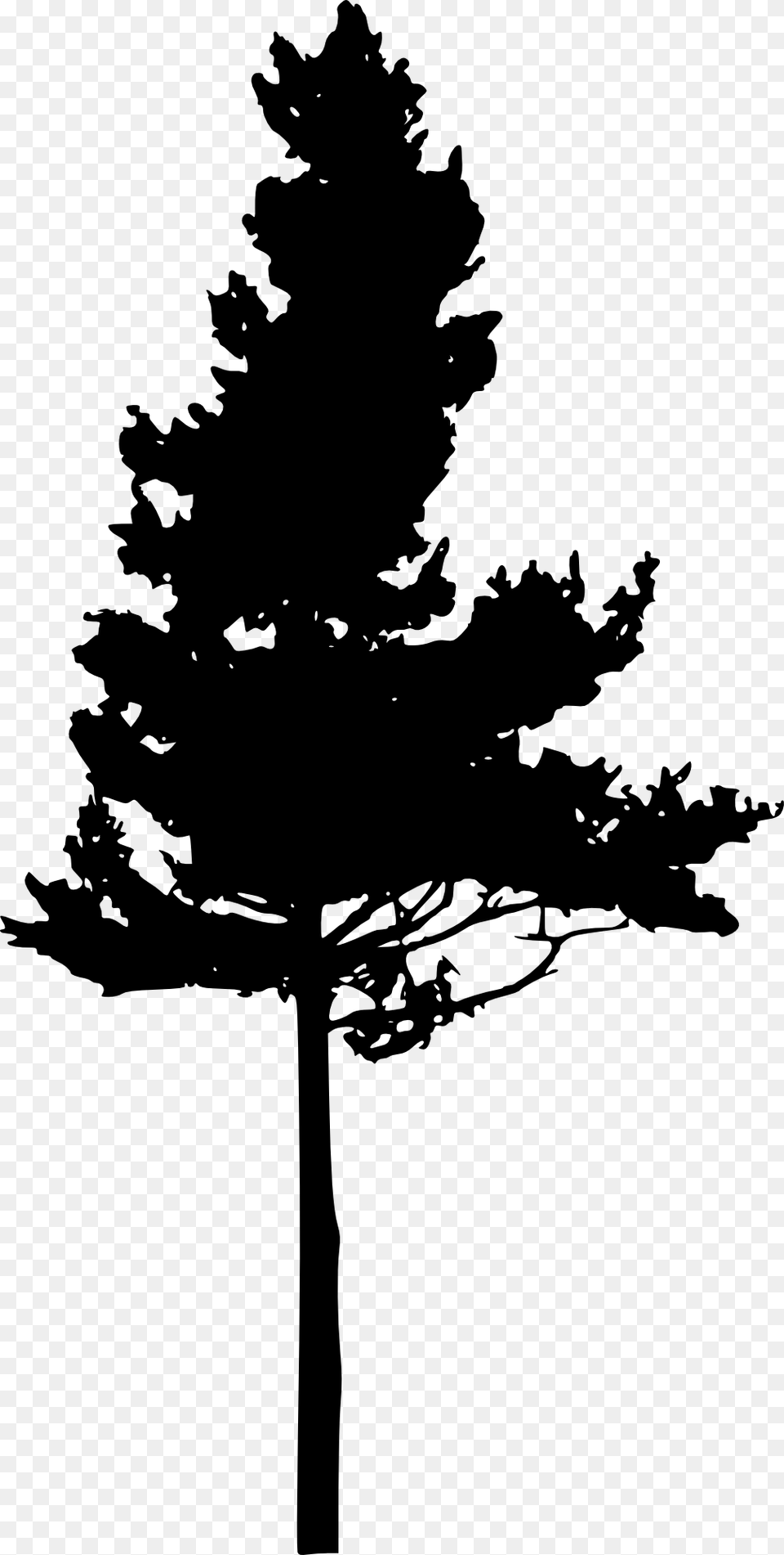 Silhouette Trees Pine Tree Black, Plant, Stencil, Fir, Person Free Png Download