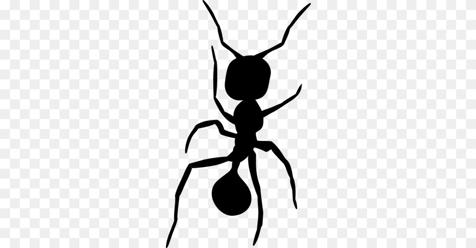 Silhouette Vector Clip Art Of Ant Insect, Gray Png Image