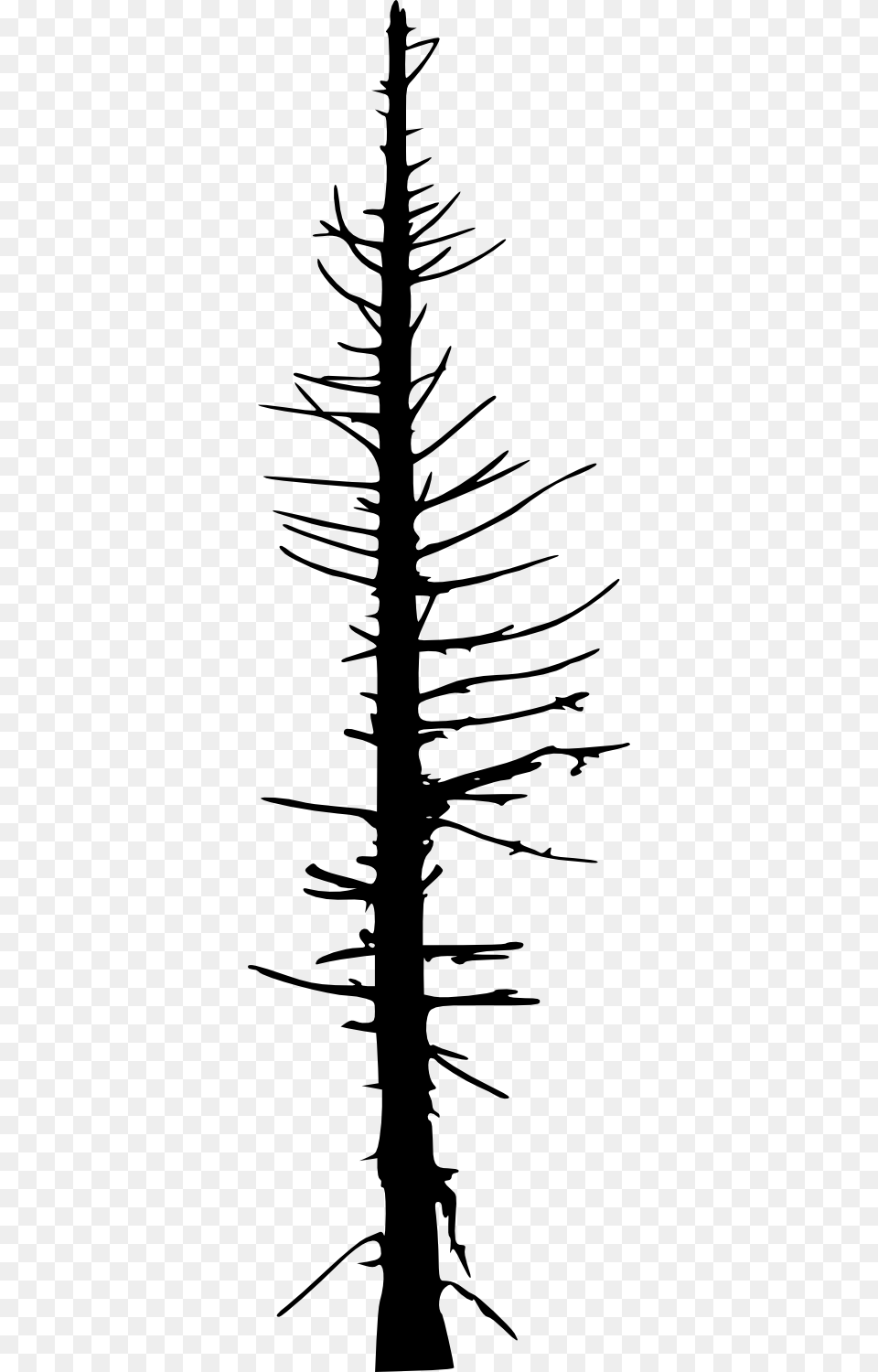 Silhouette Vector Dead Tree Png