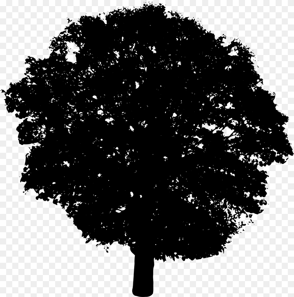 Silhouette Vector Image Of A Layered Tree Top Bush Silhouette Background, Gray Png