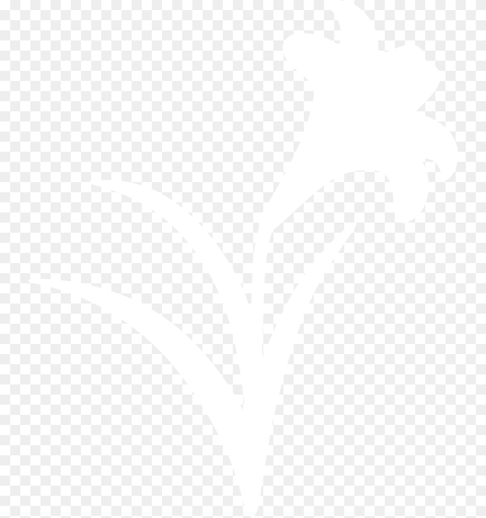 Silhouette Vector Lily Lily Silhouette, Flower, Plant Free Png Download