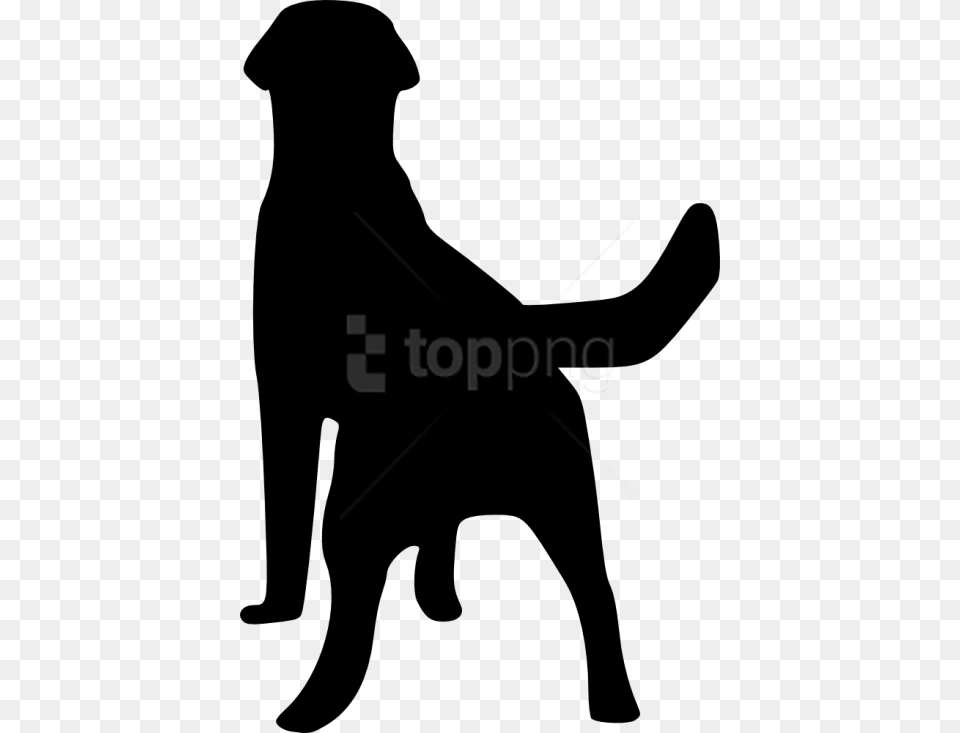 Silhouetteblack And Whitedog Artrottweilersporting Dog Silhouette From Back, Adult, Female, Person, Woman Free Png Download