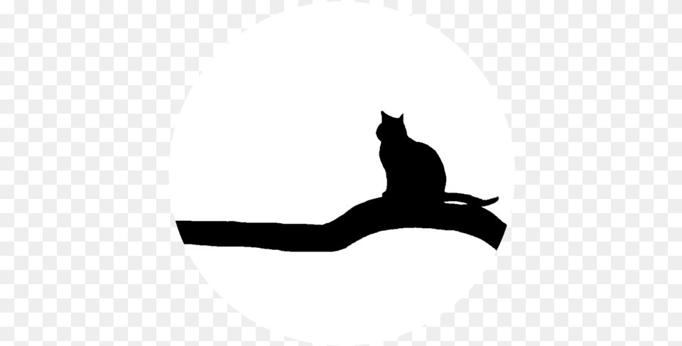 Silhouettefelidaecat Cat Yawns, Silhouette, Animal, Mammal, Pet Free Png Download