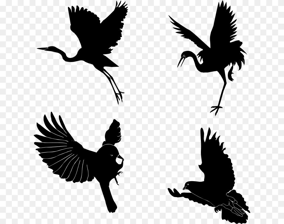 Silhouettemonochrome Photographybird Photography, Gray Free Transparent Png
