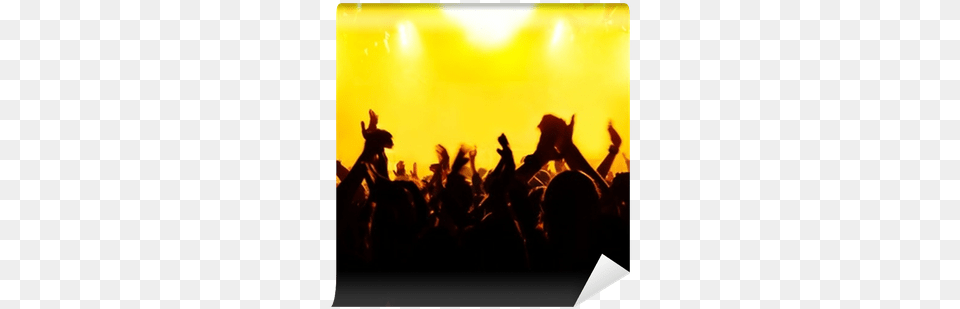 Silhouettes Of Concert Crowd In Front Of Bright Stage Escenario Concierto Luces, Person, Rock Concert, Urban, Adult Free Png Download