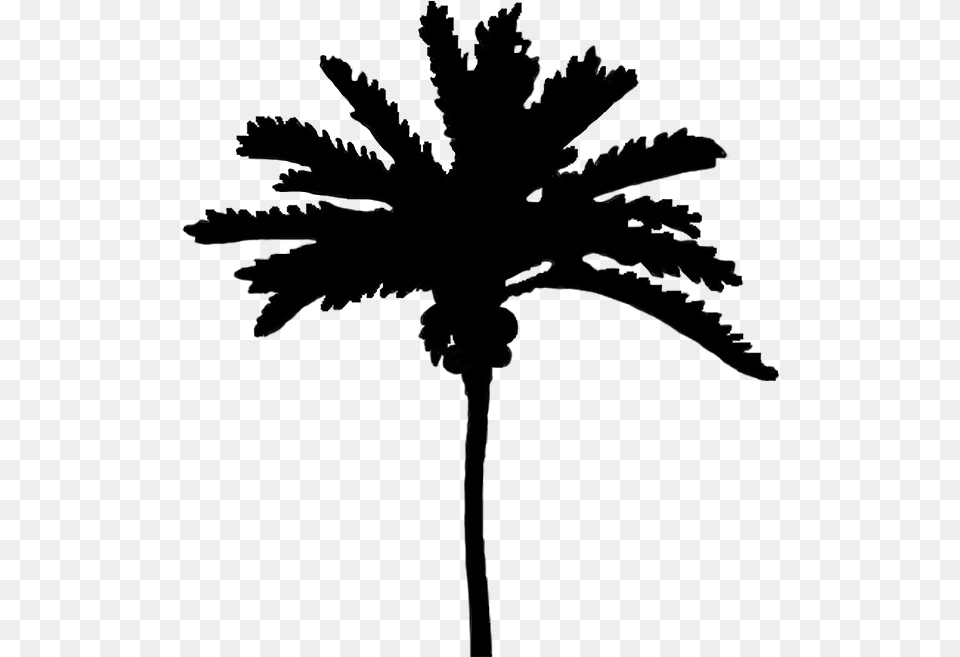 Silhouettes Of Palm Trees Silhouette Cute Black Tree, Palm Tree, Plant, Daisy, Flower Free Png