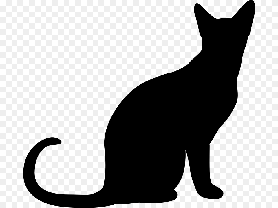 Silhueta Gato Gray Png Image