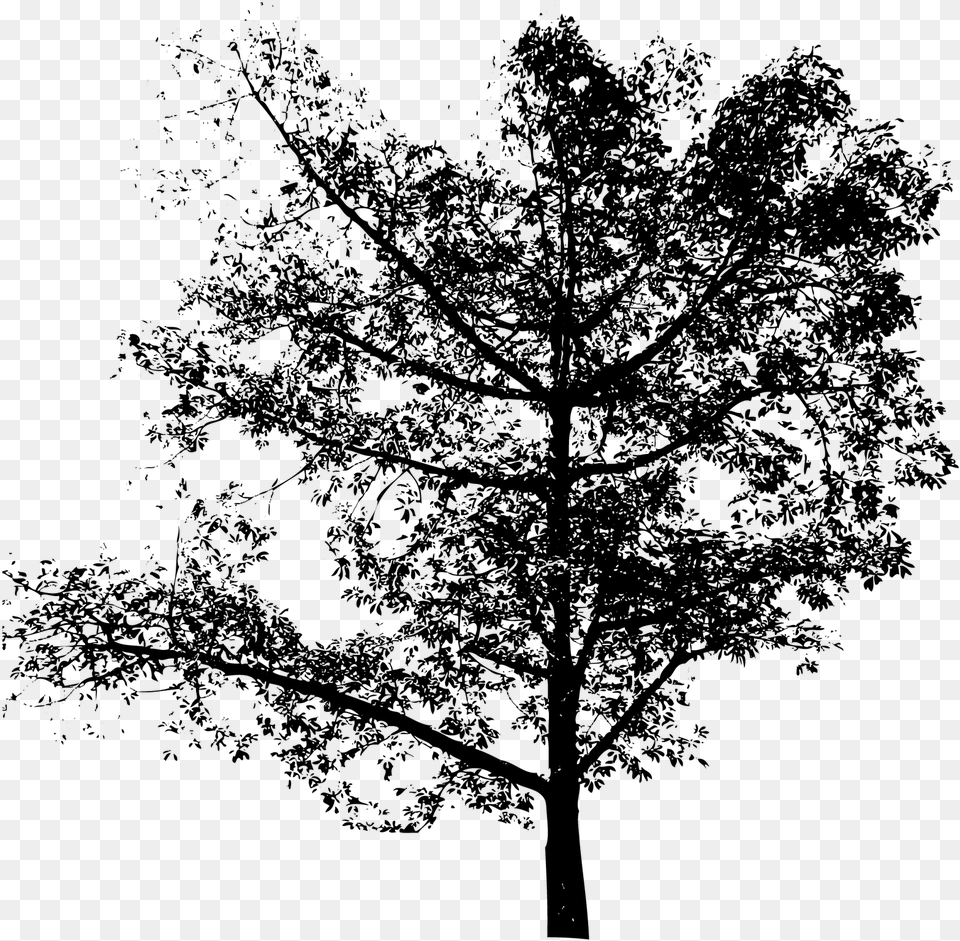 Silhuetas De Rvores Em My Daily Journal Scary Lone Tree Lined Journal, Gray Free Transparent Png