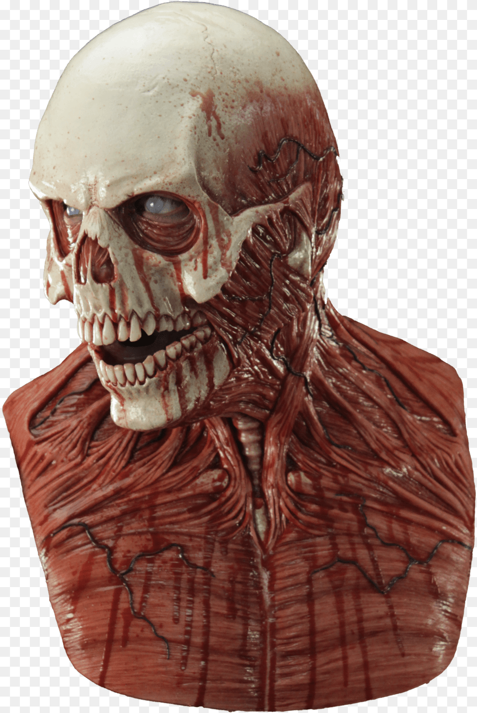 Silicone Flesh Skull Mask, Alien, Adult, Male, Man Free Png Download