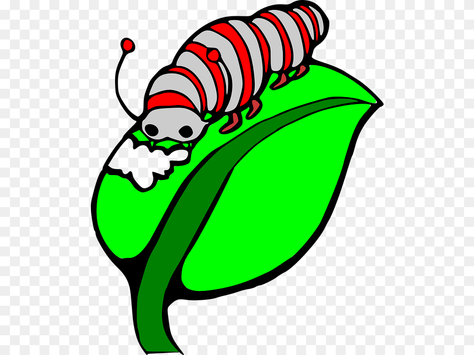 Silk Clipart Butterfly Larva, Green, Animal, Invertebrate, Worm Free Png