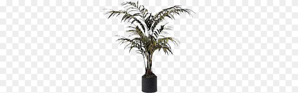 Silk Palm Tree In Container Brook Furniture Rental, Palm Tree, Plant, Potted Plant, Person Png