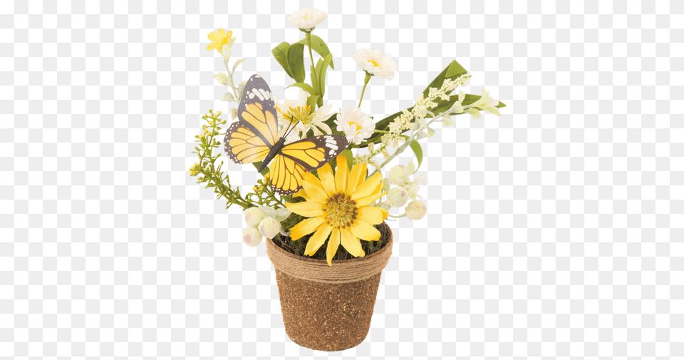 Silk Spring Flower Twig Pot Yellow Dais African Daisy, Flower Arrangement, Flower Bouquet, Plant, Petal Free Png Download