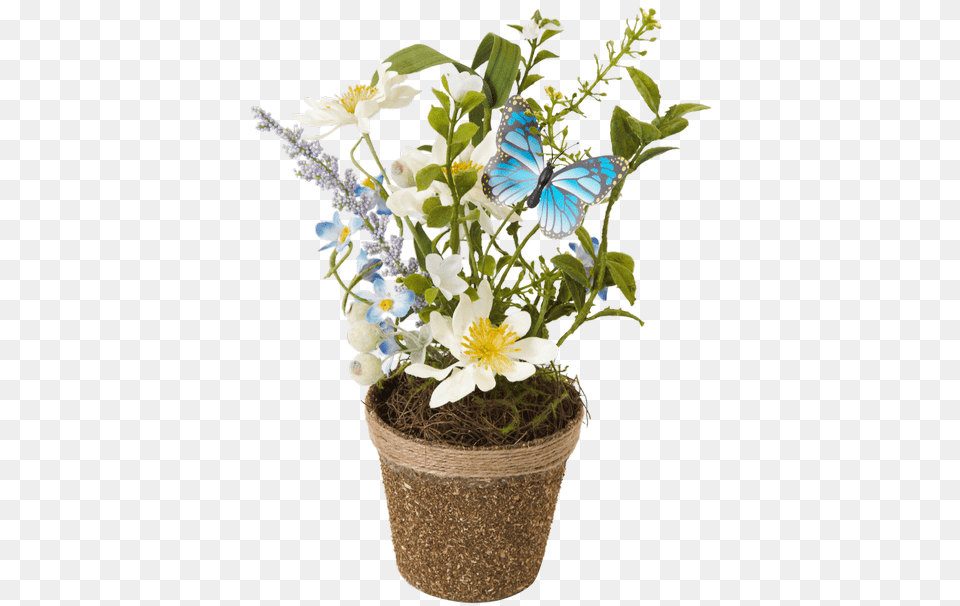 Silk Spring Flower Twig Potwhite Daisy Flowerpot, Anemone, Flower Arrangement, Flower Bouquet, Plant Free Transparent Png