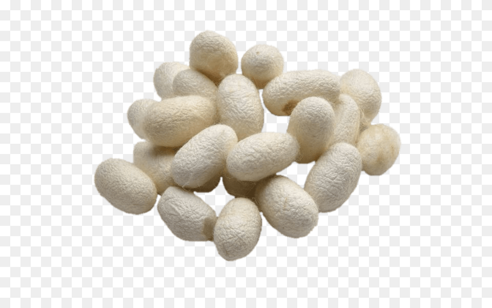 Silkworm Cocoons, Teddy Bear, Toy, Food, Produce Free Png Download