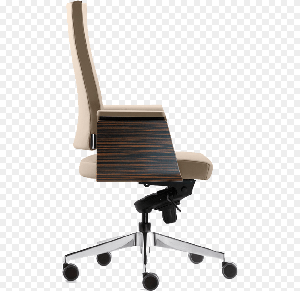 Silla Sentis Forma, Cushion, Furniture, Home Decor, Chair Png Image
