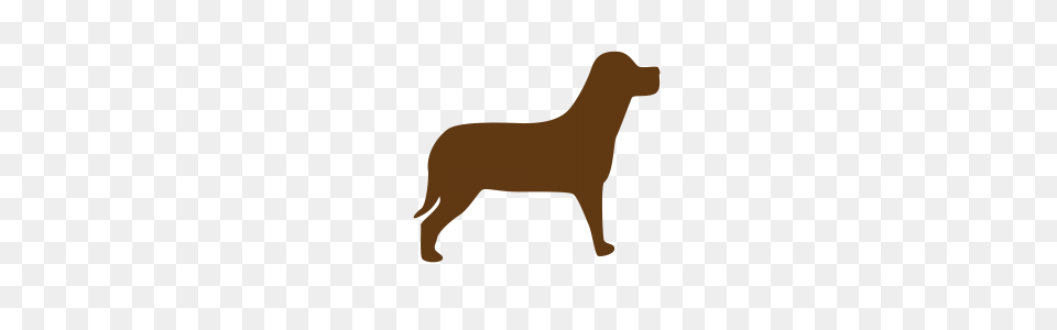 Sillhouette Animal, Canine, Dog, Mammal Free Png Download