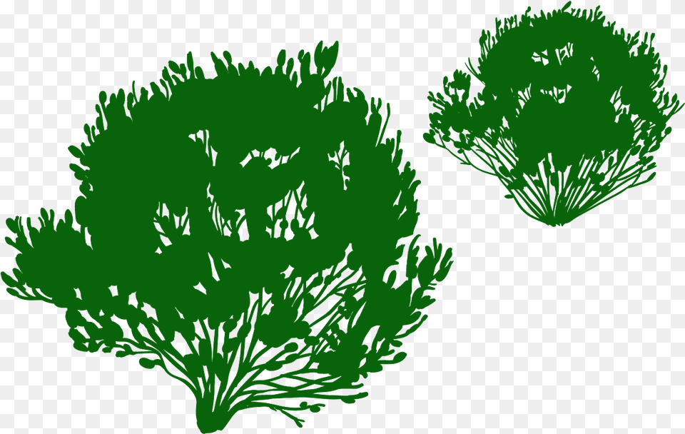 Silueta Arbusto En, Food, Seasoning, Dill, Plant Free Transparent Png