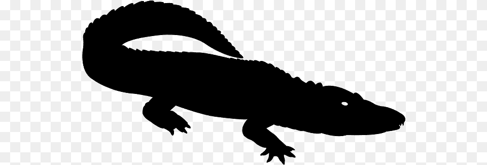 Silueta Caiman, Gray Free Png Download