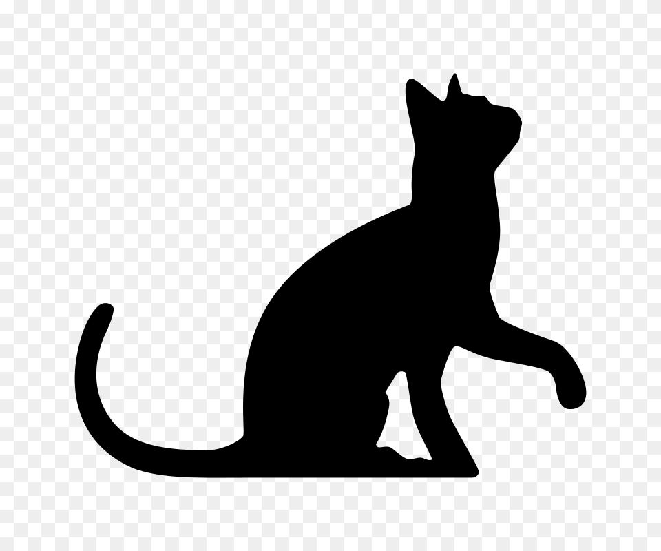 Silueta De Gato, Gray Png Image