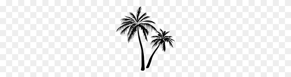 Silueta De La Palmera Negra Beach Beach, Palm Tree, Plant, Tree Png