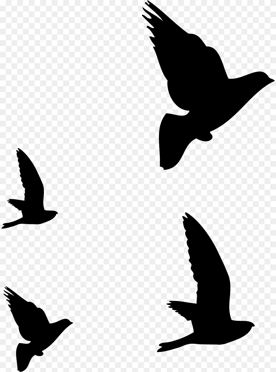 Silueta Pajaros Image, Animal, Bird, Flying, Silhouette Png