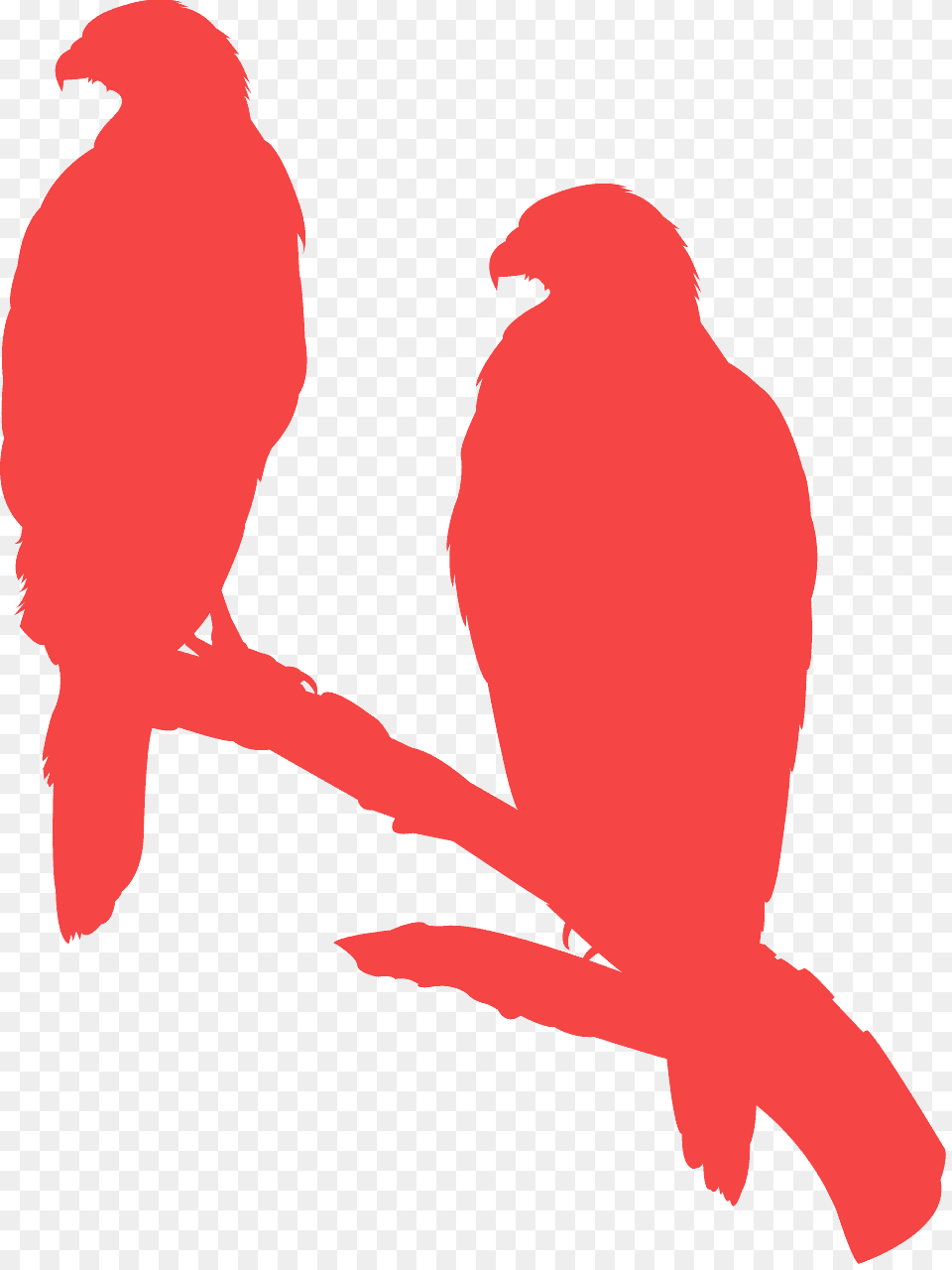 Siluetas De Aves Rapaces, Animal, Bird, Person Png