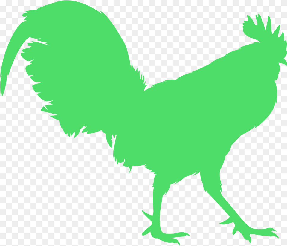 Siluetas De Gallos Finos, Animal, Bird, Fowl, Poultry Png