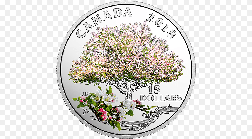 Silver, Flower, Plant, Coin, Money Png Image