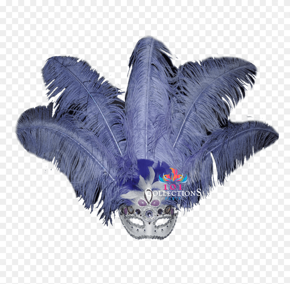 Silver, Carnival, Crowd, Person, Mardi Gras Png Image