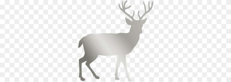 Silver Animal, Deer, Elk, Mammal Png