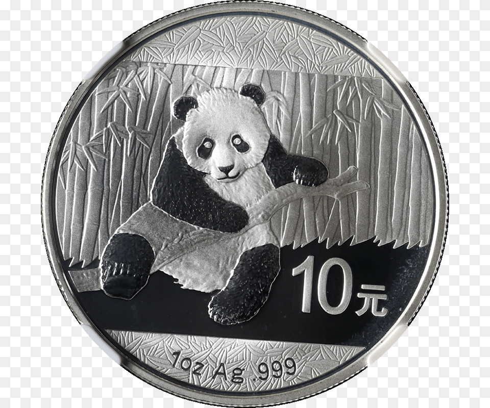 Silver, Animal, Bear, Coin, Mammal Free Transparent Png