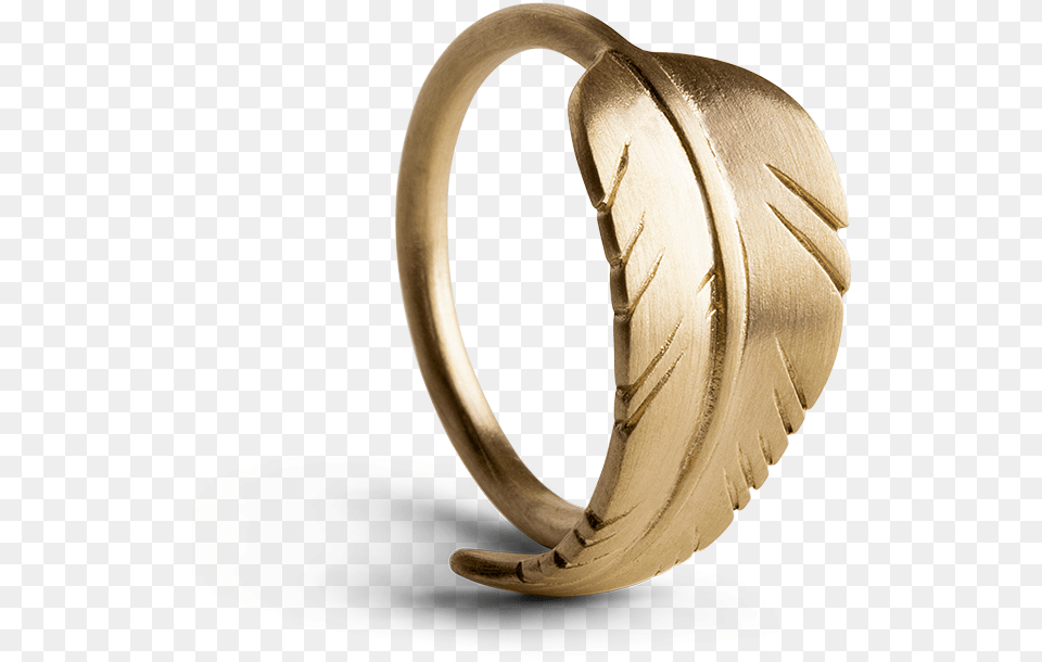 Silver, Accessories, Jewelry, Ring, Gold Free Png